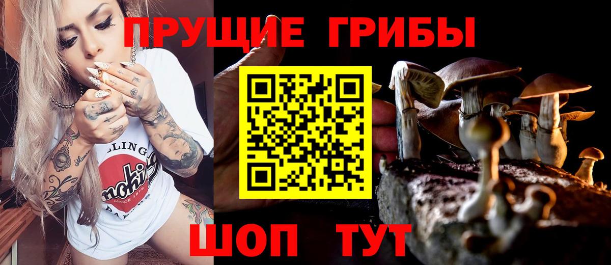 Нальчик  Псилоцибиновые грибы прущие грибы  Вход с VPN 